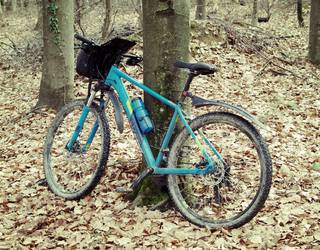 Bicikl u šumi